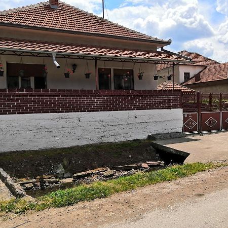 Kuca Mijalkovic Lejlighed Pirot Eksteriør billede